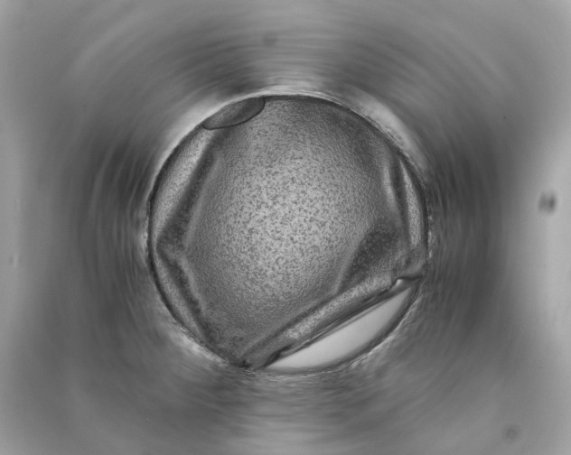 X0000090761284200708101739