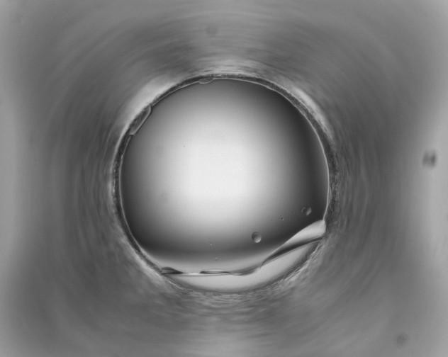 X0000090761285200708101739