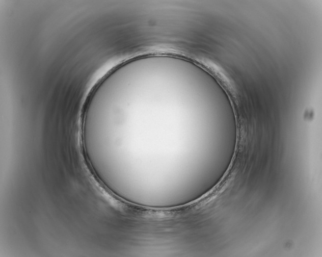 X0000090761286200708101739