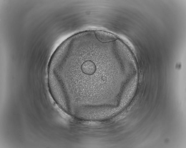 X0000090761287200708101739