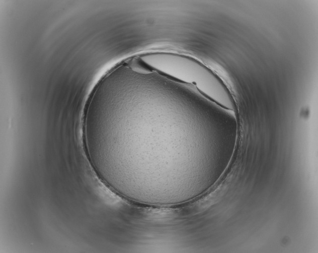 X0000090761288200708101739