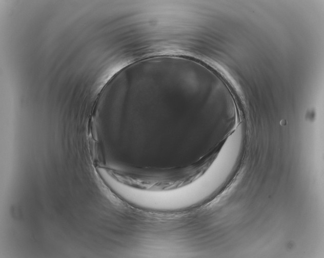 X0000090761289200708101739