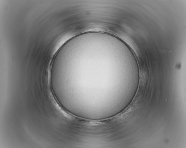 X0000090761290200708101739