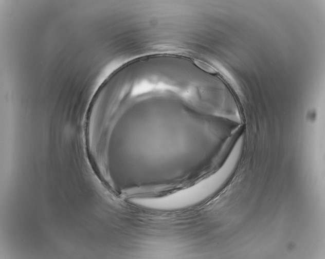 X0000090761291200708101739