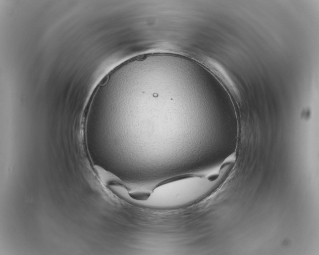 X0000090761292200708101739