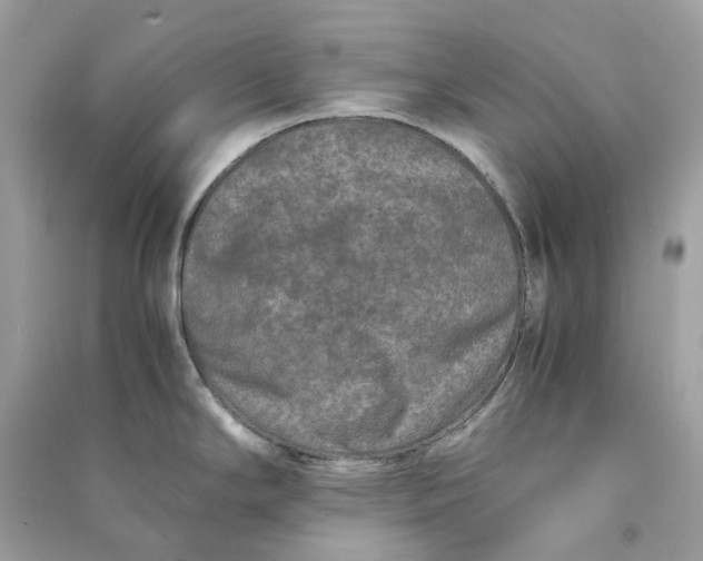 X0000090761294200708101739