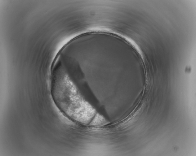 X0000090761295200708101739