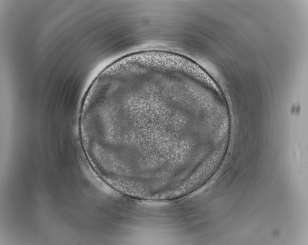 X0000090761296200708101739