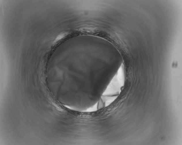 X0000090761297200708101738