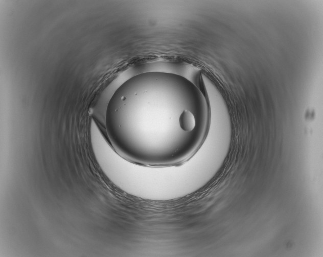 X0000090761298200708101738