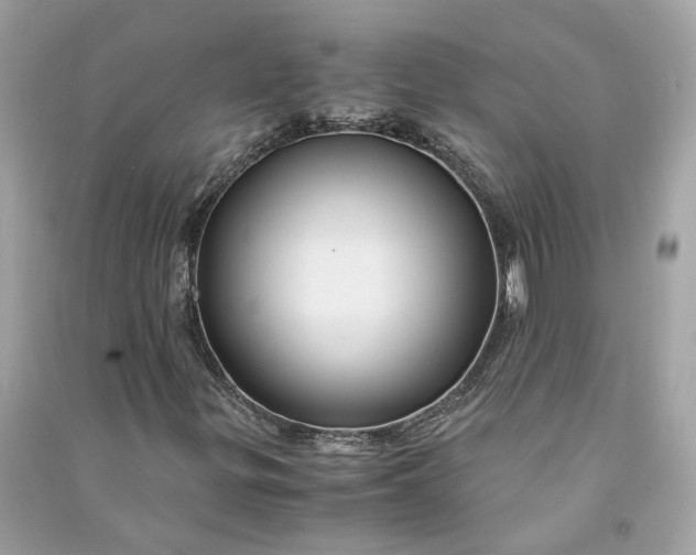 X0000090761299200708101738