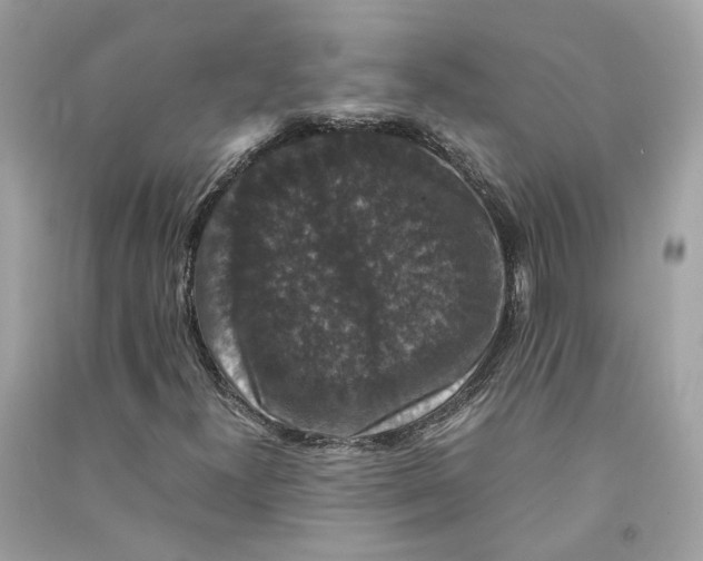 X0000090761300200708101738