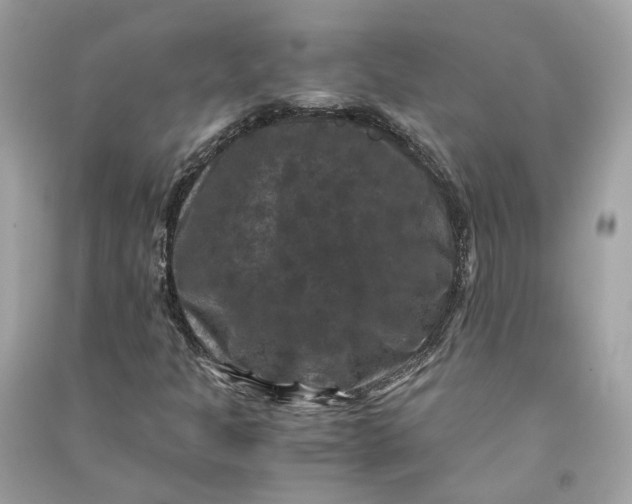 X0000090761301200708101738