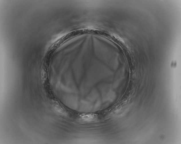 X0000090761303200708101738