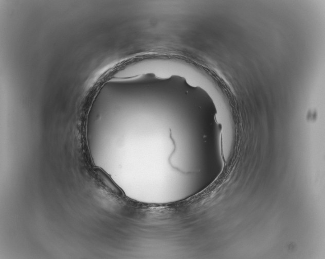 X0000090761304200708101738