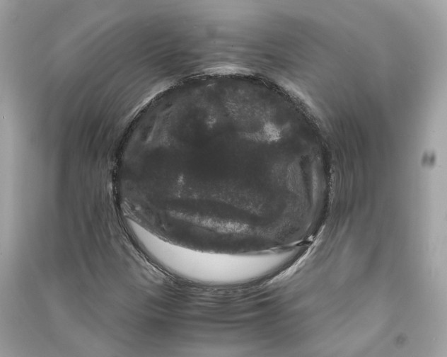 X0000090761305200708101738