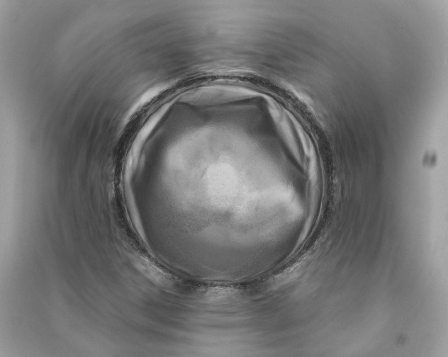 X0000090761306200708101738