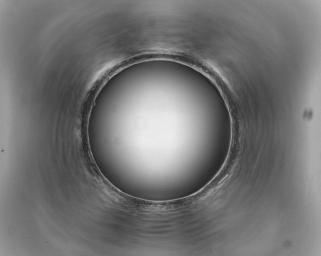 X0000090761307200708101738