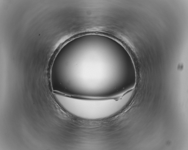 X0000090761308200708101738