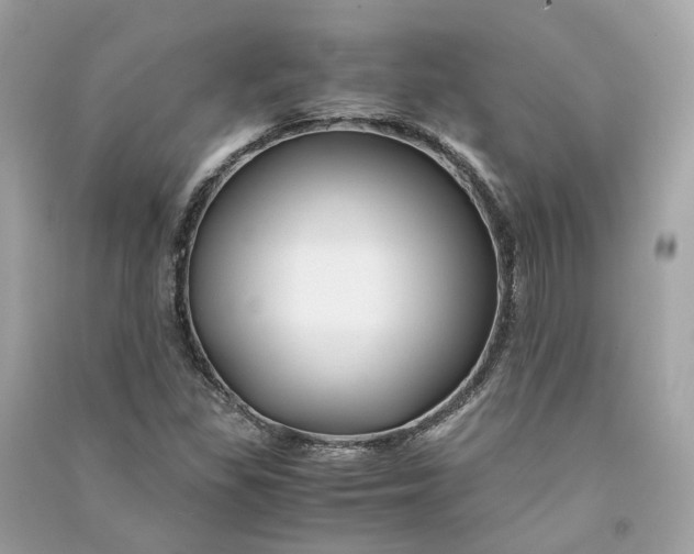 X0000090761309200708101738