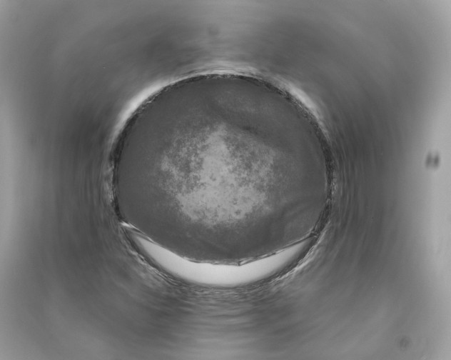 X0000090761310200708101738