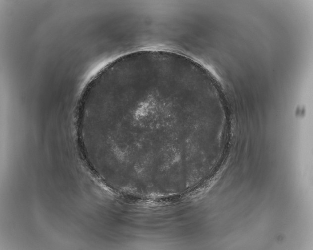 X0000090761311200708101738