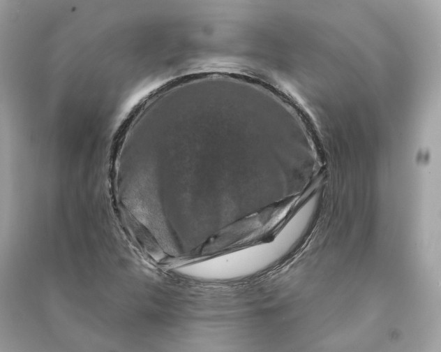 X0000090761312200708101738