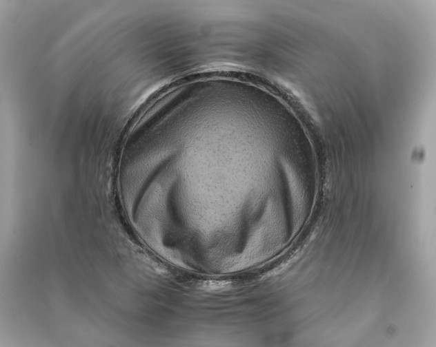 X0000090761313200708101738