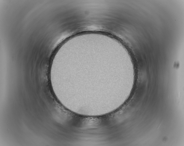 X0000090761314200708101738