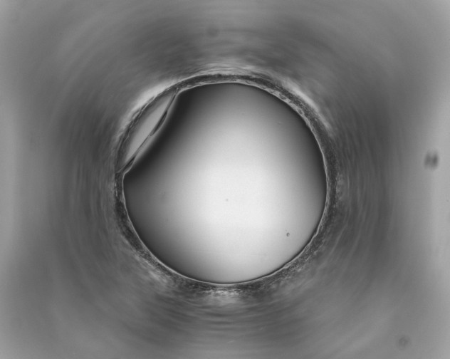 X0000090761315200708101738