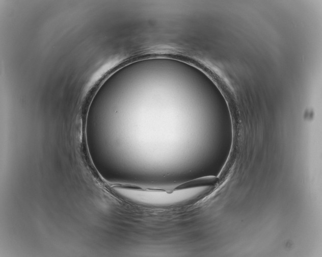 X0000090761317200708101738