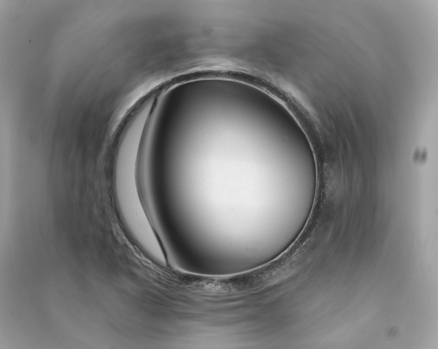 X0000090761318200708101738