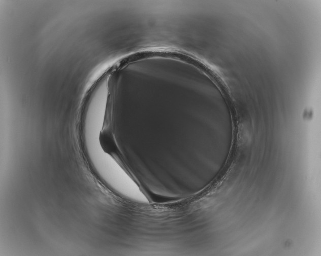 X0000090761319200708101738