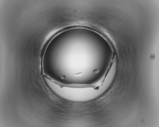 X0000090761320200708101738