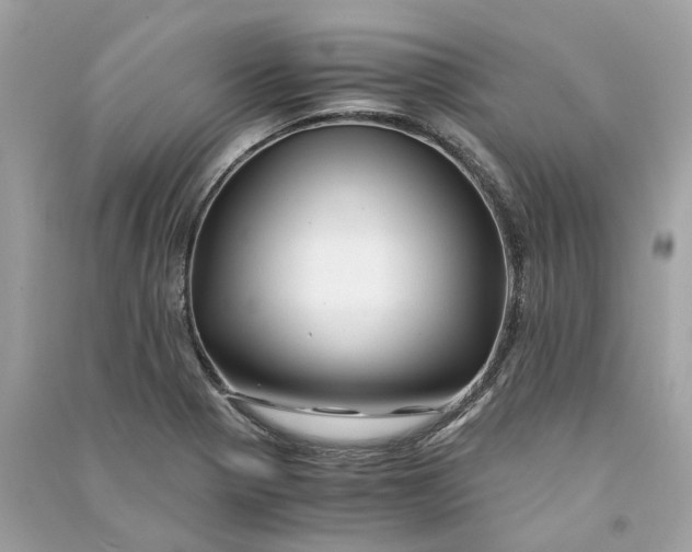 X0000090761321200708101738