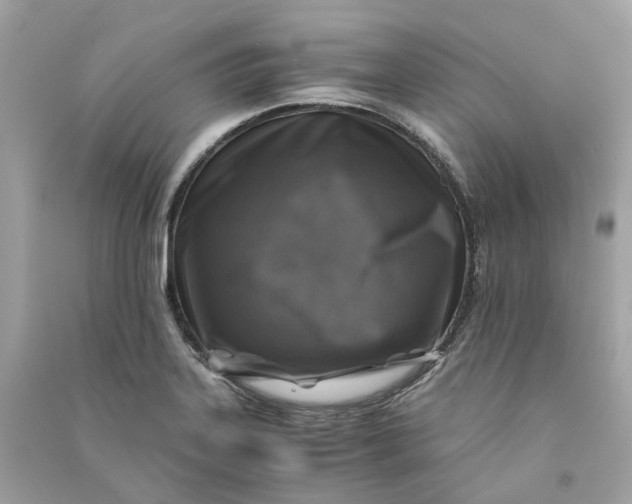 X0000090761323200708101738