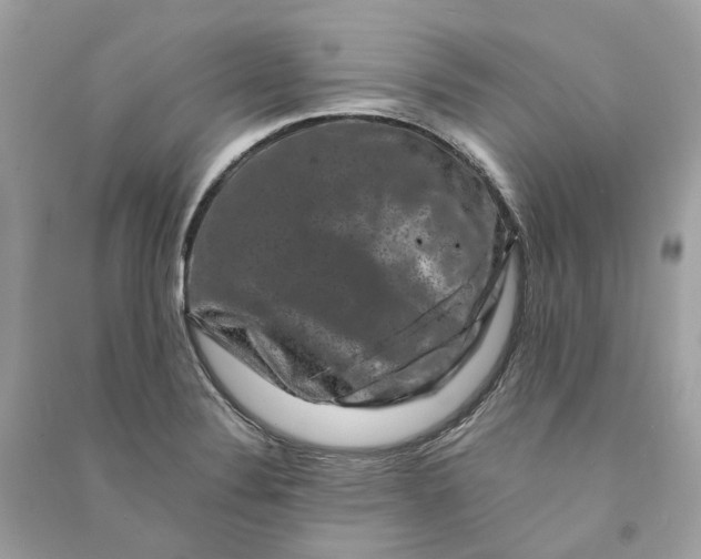 X0000090761324200708101738