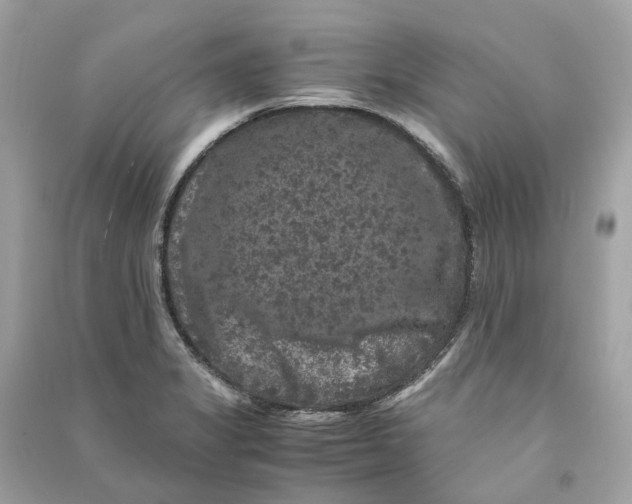 X0000090761325200708101738