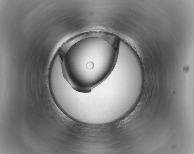 X0000090761326200708101739