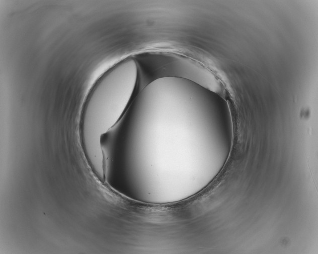 X0000090761328200708101739