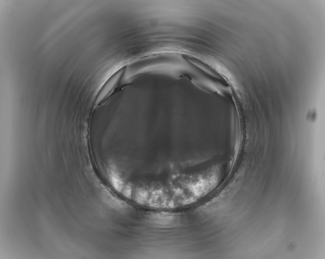 X0000090761329200708101739