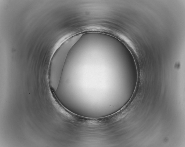 X0000090761330200708101739