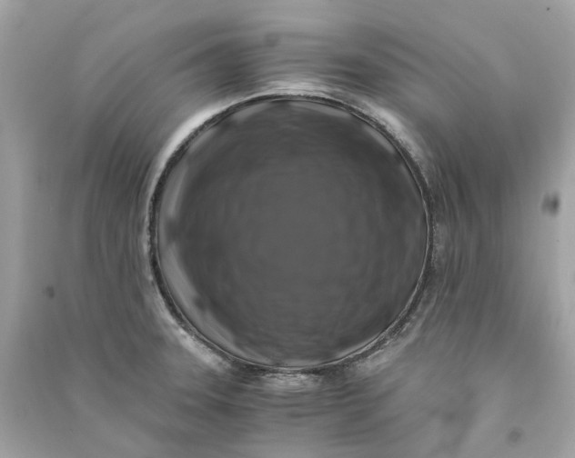 X0000090761331200708101739