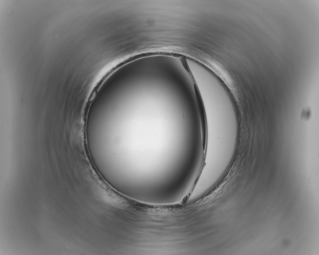 X0000090761332200708101739