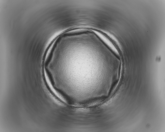 X0000090761333200708101739