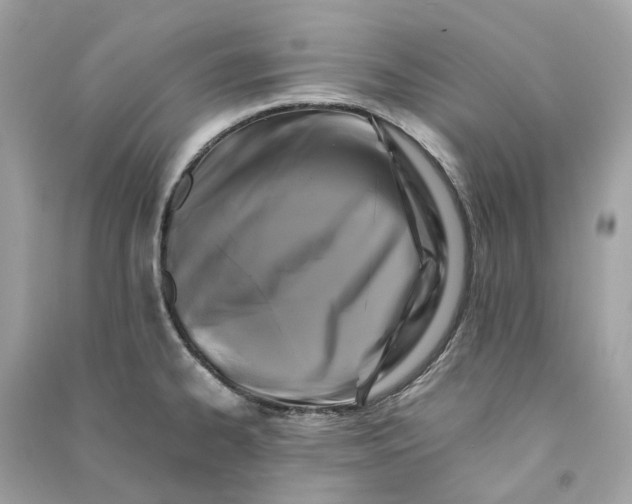 X0000090761334200708101739