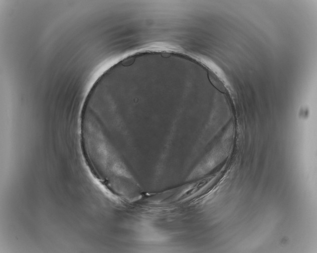 X0000090761335200708101739