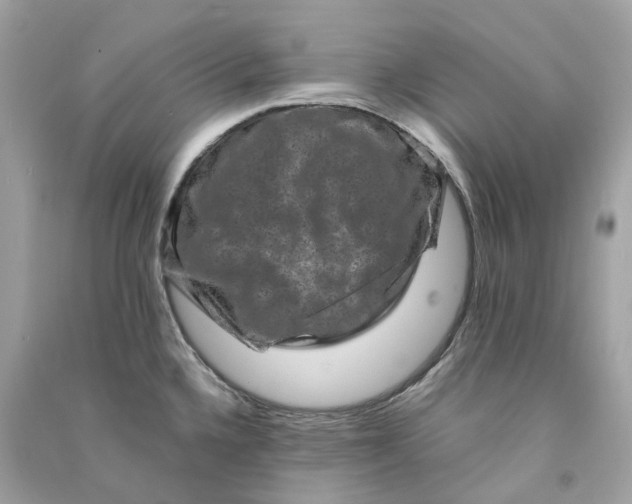 X0000090761336200708101739