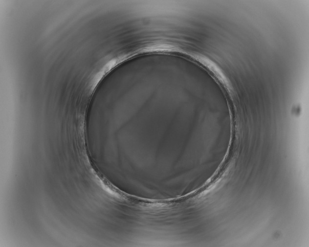 X0000090761337200708101739