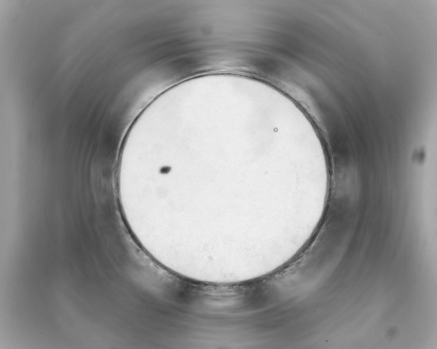 X0000090761338200708101739